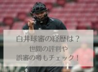 白井球審の経歴や評判は