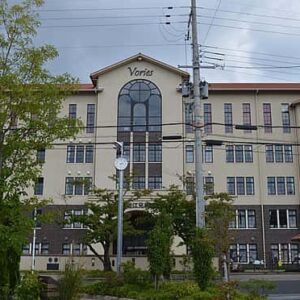 八木莉可子の高校