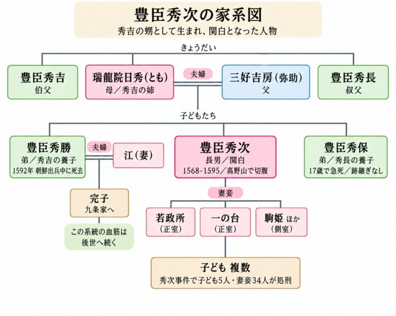豊臣秀次の家系図