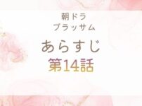 ブラッサムネタバレとあらすじ第14話