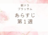 ブラッサムあらすじネタバレ第1週