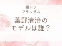 ブラッサム葉野清治モデル