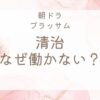 ブラッサム清治はなぜ働かないのか